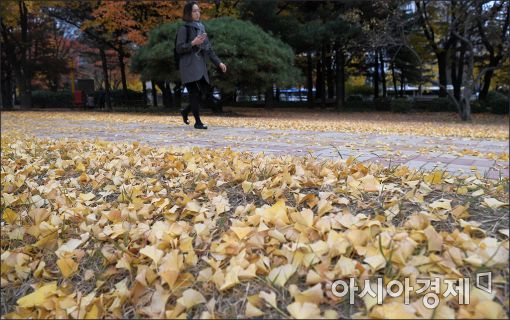 [포토]'가을의 끝자락을 걸어요'