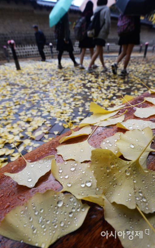 [포토]가을비 지난 뒤 옅은 황사