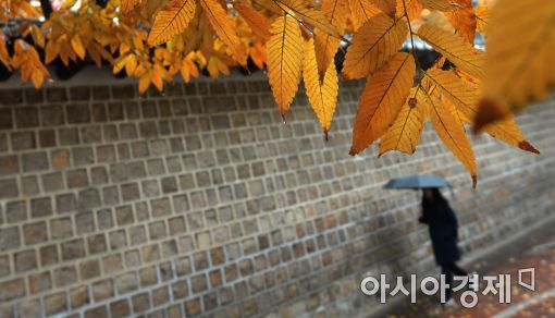 [포토]가을의 끝자락