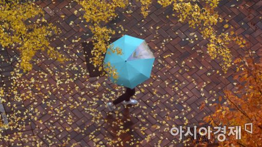 [포토]낙엽 낭만