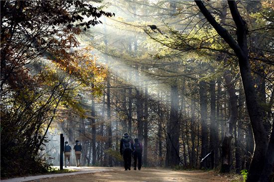 [여행만리]주산지, 봄·여름·가을…그리고~