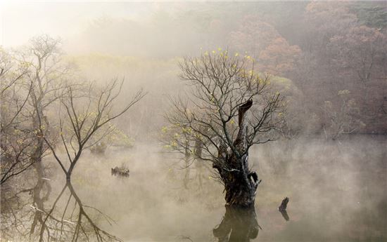 [여행만리]주산지, 봄·여름·가을…그리고~