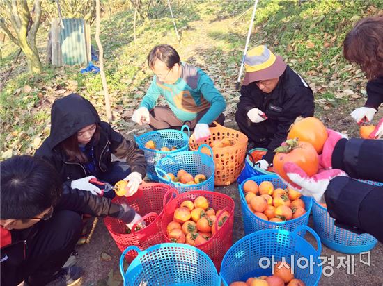 곡성군 곳곳에서 농촌봉사활동 열기 후끈