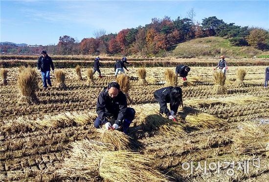 곡성군 곳곳에서 농촌봉사활동 열기 후끈