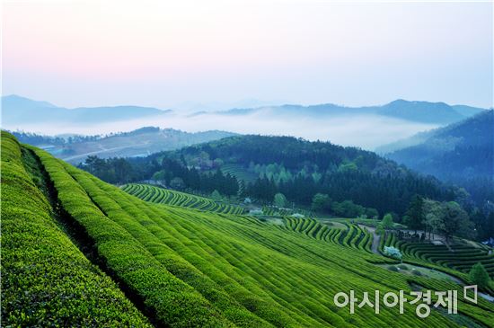 보성군, SBS 새 수목드라마 ‘푸른 바다의 전설’제작 지원