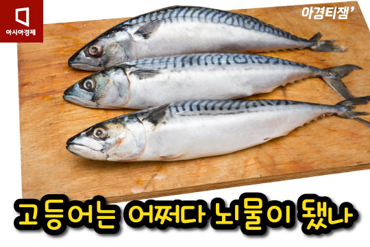 [카드뉴스]사바사바는 고등어고등어?