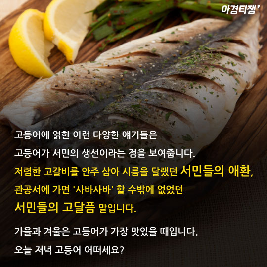 [카드뉴스]사바사바는 고등어고등어?