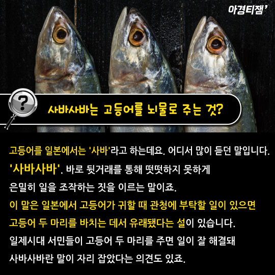 [카드뉴스]사바사바는 고등어고등어?