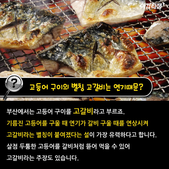 [카드뉴스]사바사바는 고등어고등어?