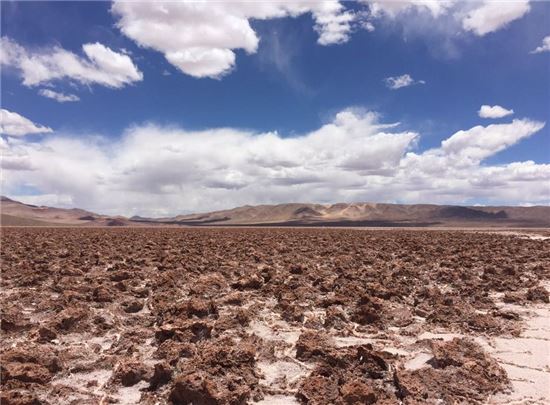 포스코 신사업 '리튬' 경고등…아르헨티나 공장 지연  