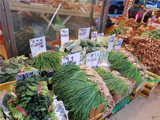 23일 서울 서대문구에 위치한 영천시장 한 채소가게에는 김장 재료들이 저렴한 값에 할인판매되고 있었다.  
