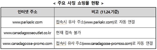 해외사이트 사칭 쇼핑몰로 '캐나다구스' 등 직구 피해 주의