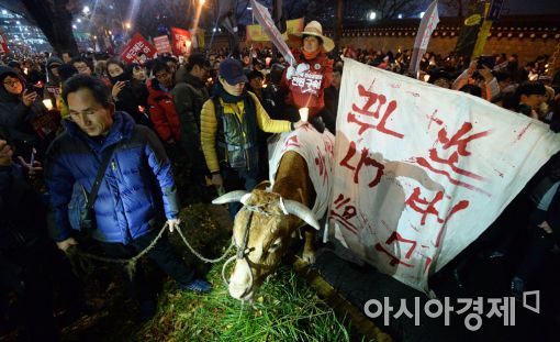 [포토]박근혜 퇴진하'소'