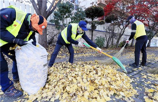 [포토]광주시 북구, 가로수 낙엽수거 재활용