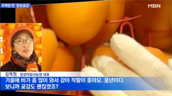 장성군 이일사농장, '곶감' 방송뉴스에 소개돼 화제