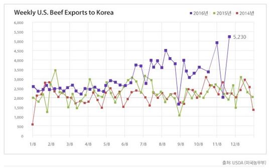미국산 소고기 주간 한국 수출량 추이