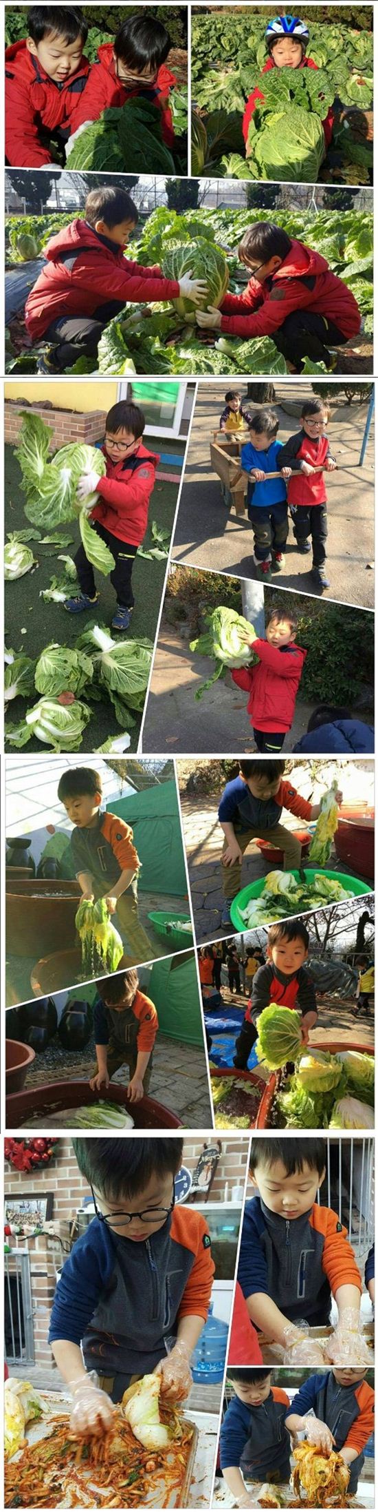 ‘대한민국만세’ 김장까지 척척 “삼둥이 같은 아이 낳게 해주세요”