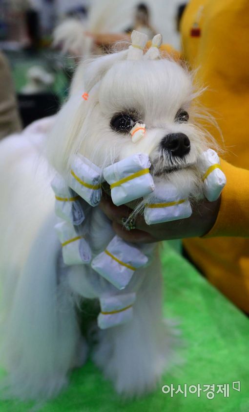 [포토]'예뻐지기 쉽지 않아'