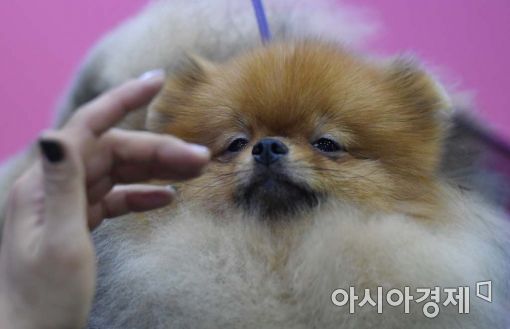 [포토]'내가 제일 예뻐' 