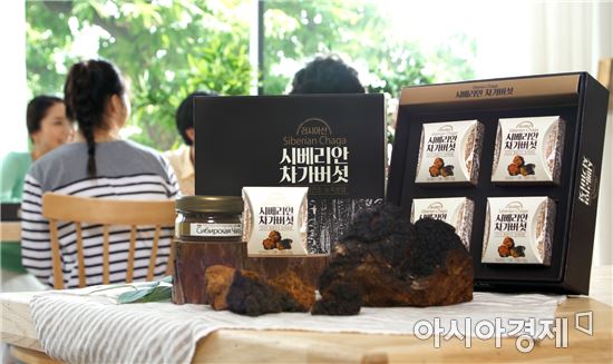 암환자에게 인기! 면역력 높이는 러시아산 차가버섯