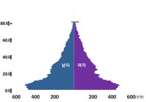 [장래인구추계]인구피라미드 '역삼각형'으로 바뀐다