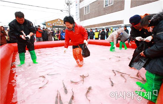 제8회 부안 설(雪)숭어 축제 개최, 9~11일 부안상설시장서 