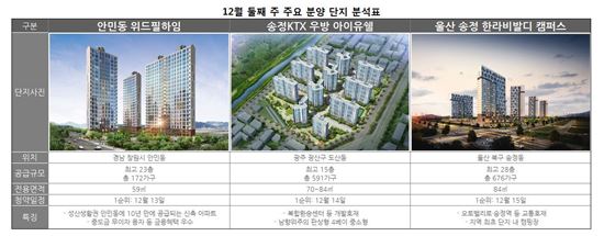 12월 둘째주 분양시장 실수요자 위주 재편