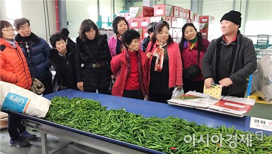전남농협, 풋고추농가 선진지 우수사례 벤치마킹