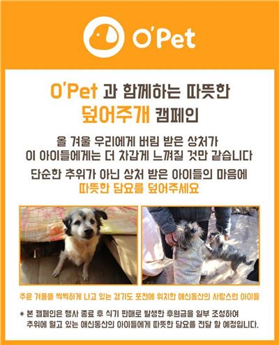 삼광글라스, 유기동물 후원 캠페인 '덮어주개' 진행