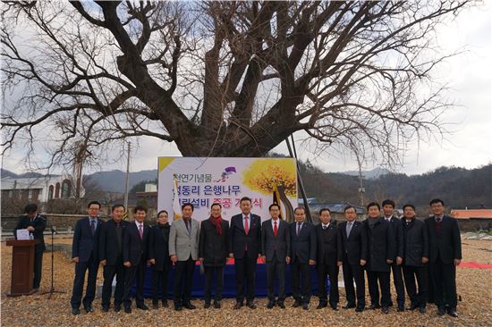 한국전기공사협회가 15일 전남 강진군 병영면에서 ‘천연기념물 제385호 성동리 은행나무 피뢰설비 준공식’을 개최했다. 사진제공=한국전기공사협회