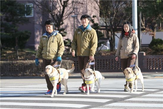 "시각장애인에 희망을"…삼성, 성탄절 앞두고 안내견 기증