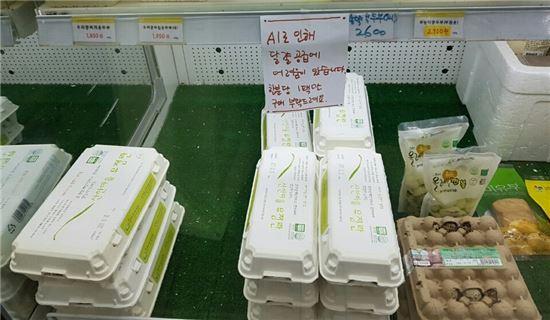 [계란 大亂]산지-소비자값 두배 격차…중간상인 '폭리' 파동 부채질 