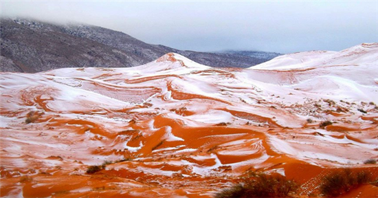 눈이 내린 사하라 사막/사진=카림 부셰타타 트위터 캡처 