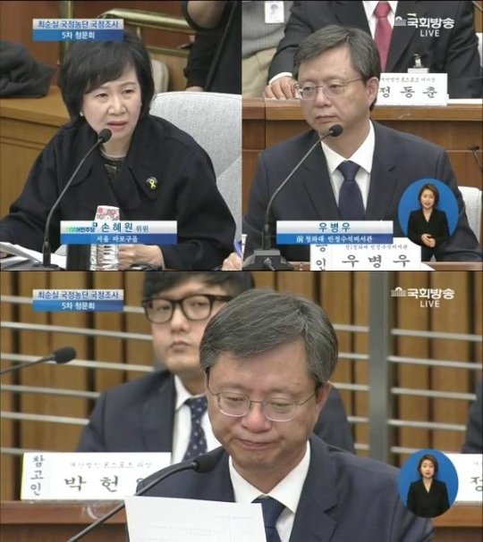 손혜원 의원과 우병우 전 청와대 민정수석 / 사진=국회방송 화면 캡처