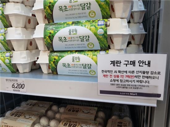26일 롯데마트 서울역점에서는 계란 15알이 들어있는 한 판이 6200원에 판매되고 있다. 