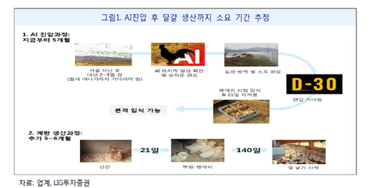 계란 수급 정상화 1년 걸린다…'우유·두부' 계란대체제로 부각