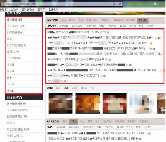 서울시 인터넷 시민감시단, 성매매 광고 등 5만여건 삭제