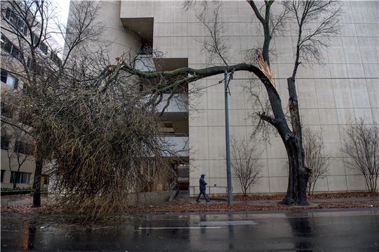 [포토]美 겨울폭풍에 속절없이 부러진 나무