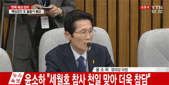 윤소하 정의당 의원/사진=YTN 영상 캡처