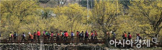 구례산수유꽃축제, 전라남도 대표 축제 선정