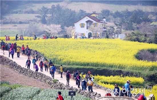 한국관광 100선에 완도 ' 청산도'  선정