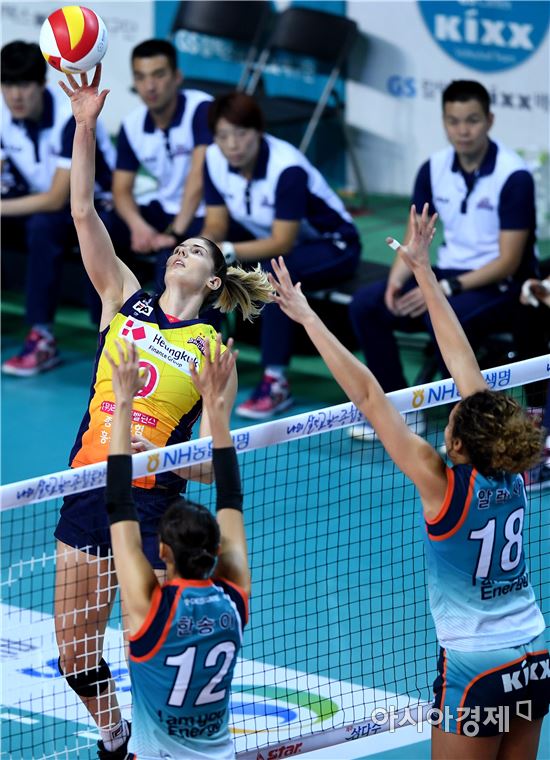 [포토]팁공격 시도하는 흥국생명 러브