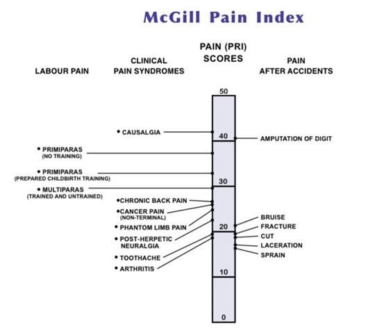 [뉴스의눈]한 스님이 시위현장서 소신공양… 예찬할수도 외면할수도 없는 '분신정치학'