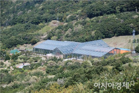 완도수목원서 설 연휴 기간 힐링하세요