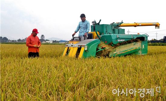 지난 10년 쌀 초과 생산 280만t…공급과잉 되풀이
