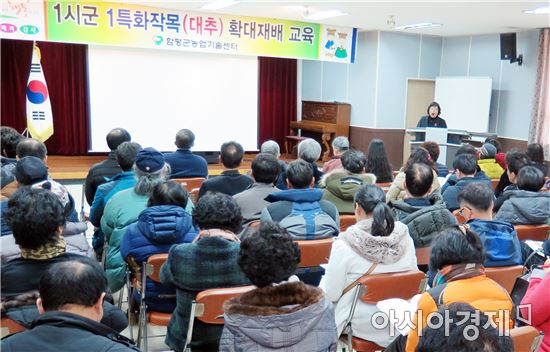 함평군, '1시군 1특화작목’생대추 명품화 본격 추진