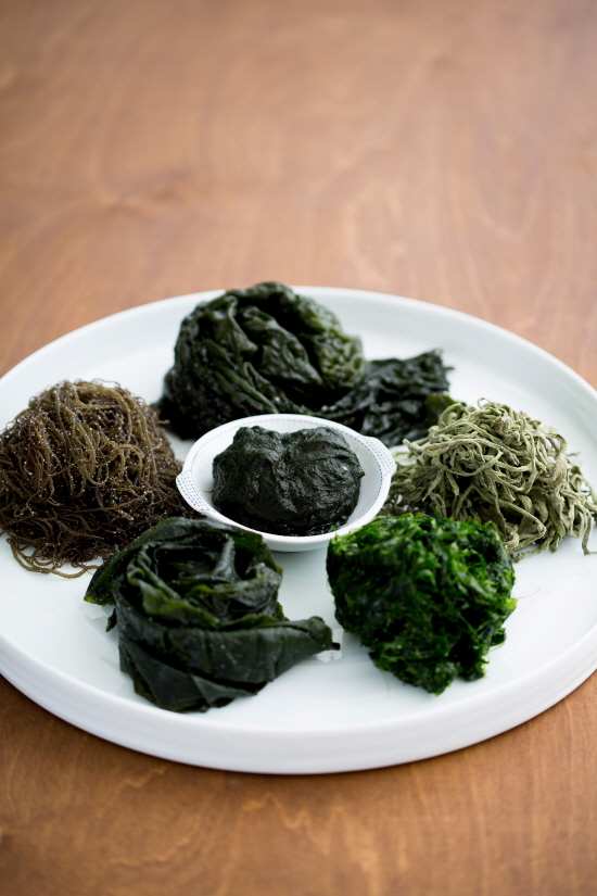 [슈퍼마켓 돋보기] 해조류(다시마, 쇠미역, 꼬시래기, 매생이, 다시마)