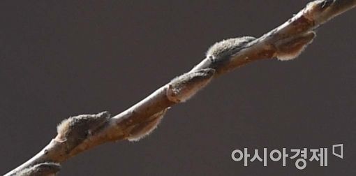 [포토]아직은 추운 봄