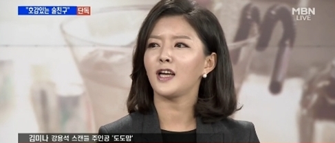 '도도맘'김미나씨가 악플러를 상대한 소송에 일부 승소했다./ 사진=MBN 방송 캡처