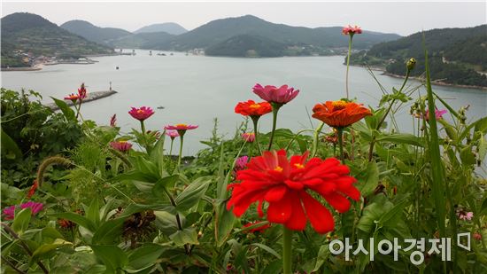 전남도, 고흥‘힐링파크 쑥섬쑥섬’ 전남 1호 민간정원 등록